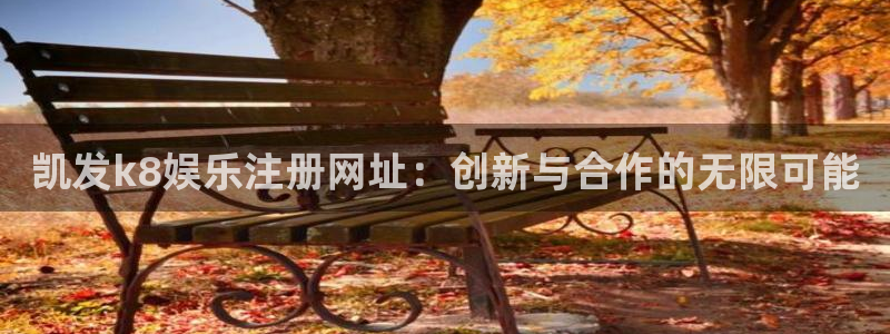 极悦吧：凯发k8娱乐注册网址：创新与合作的无限可能
