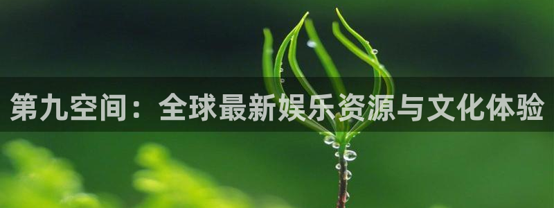 极悦娱乐平台登录入口：第九空间：全球最新娱乐资源与文化体验