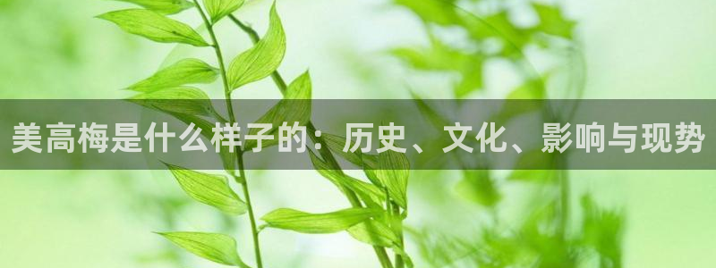 极悦娱乐那个爆率高：美高梅是什么样子的：历史、文化、影响与现势