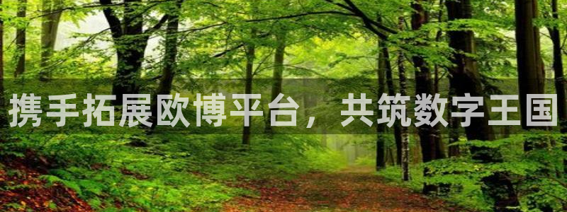 极悦娱乐.ccm苹果版：携手拓展欧博平台，共筑数字王国