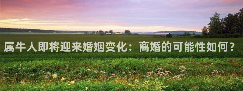 极悦娱乐下载链接：属牛人即将迎来婚姻变化：离婚的可能性如何？