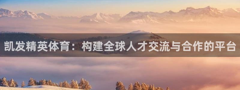 极悦娱乐官网版下载：凯发精英体育：构建全球人才交流与合作的平台