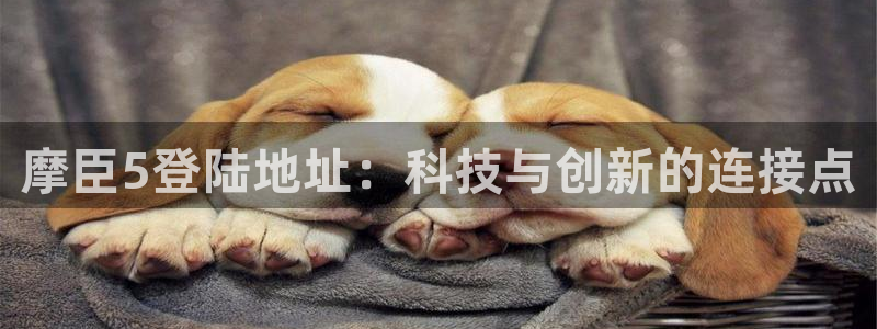 极悦娱乐官网：摩臣5登陆地址：科技与创新的连接点