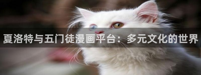 壹号大舞台：夏洛特与五门徒漫画平台：多元文化的世界
