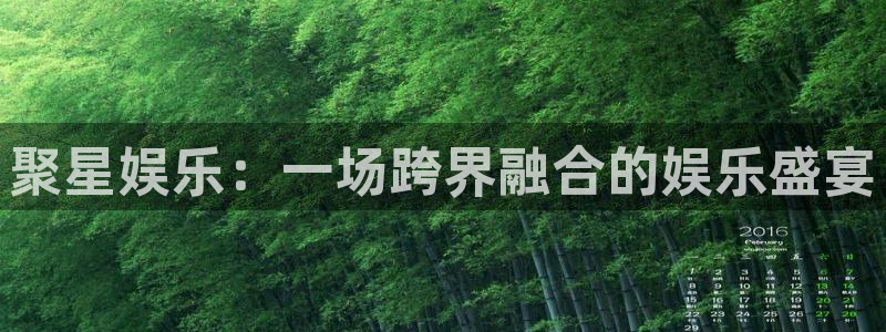 极悦娱乐怎么下载：聚星娱乐：一场跨界融合的娱乐盛宴