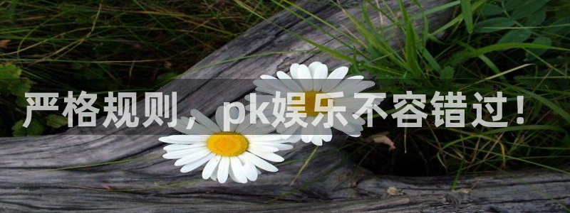 极悦娱乐网站：严格规则，pk娱乐不容错过！