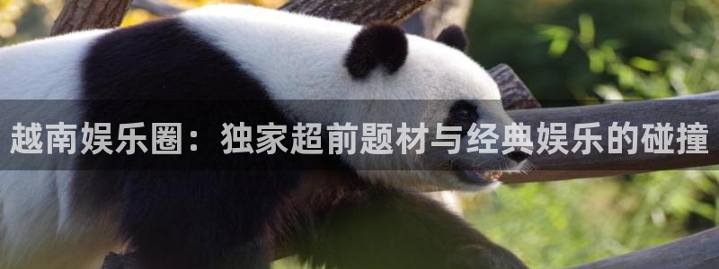 极悦娱乐下载：越南娱乐圈：独家超前题材与经典娱乐的碰撞