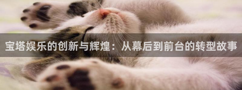 极悦娱乐网站平台：宝塔娱乐的创新与辉煌：从幕后到前台的转型故事