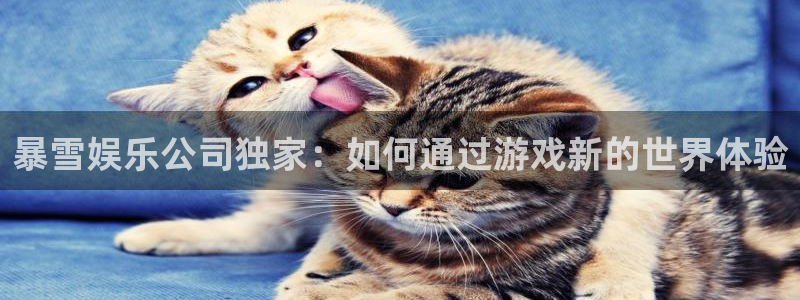 壹号平台app下载安装：暴雪娱乐公司独家：如何通过游戏新的世界体验