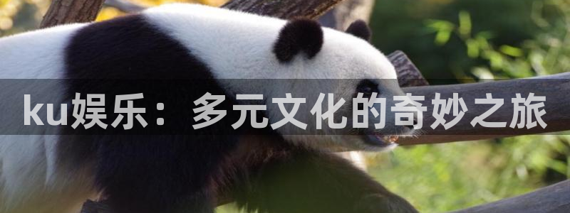 壹号电子娱乐app：ku娱乐：多元文化的奇妙之旅