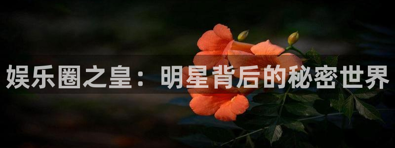 极悦娱乐app注册地址