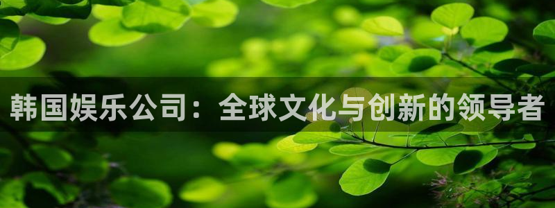 壹号电子娱乐app下载安装最新版本：韩国娱乐公司：全球文化与创新的领导者
