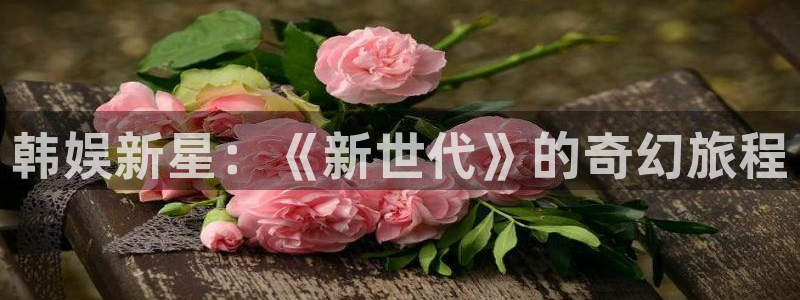 极悦吧