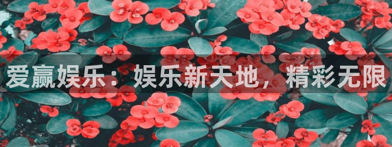 极悦娱乐下载：爱赢娱乐：娱乐新天地，精彩无限