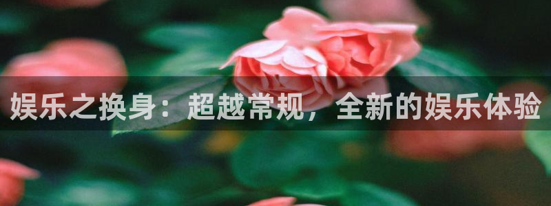 极悦娱乐(com.youad.authst)：娱乐之换身：超越常规，全新的娱乐体验