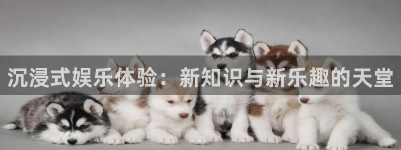 壹号平台注册链接官网下载：沉浸式娱乐体验：新知识与新乐趣的天堂
