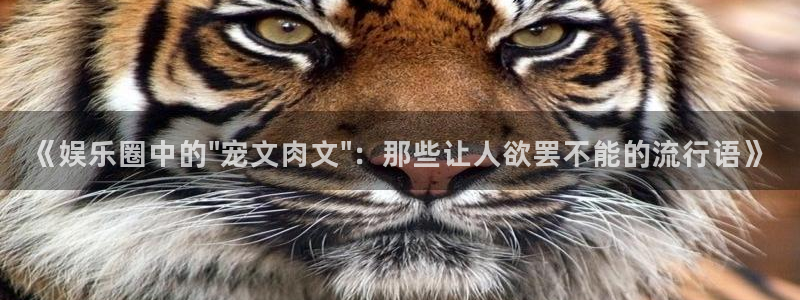 壹号app下载：《娱乐圈中的\