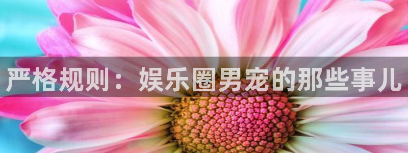 极悦娱乐ccmpc：严格规则：娱乐圈男宠的那些事儿