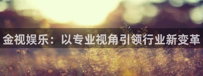 极悦娱乐电子游戏网页版：金视娱乐：以专业视角引领行业新变革