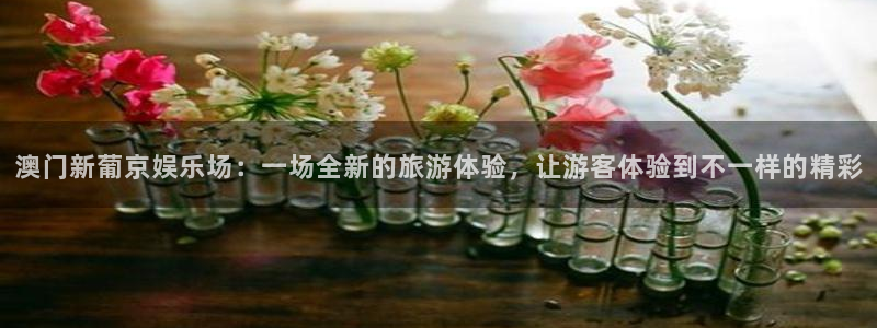 极悦平台注册：澳门新葡京娱乐场：一场全新的旅游体验，让游客体验到不一样的精彩