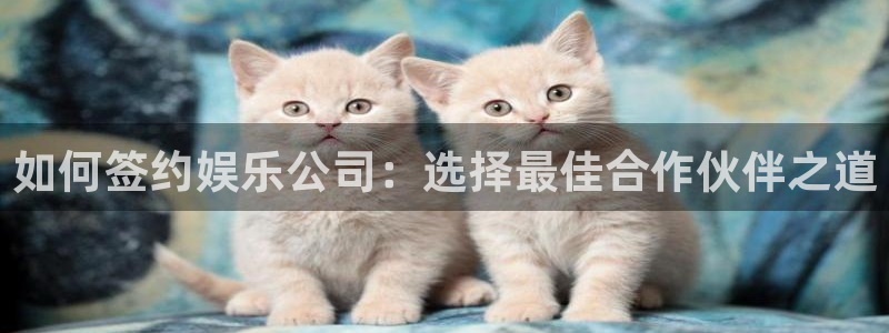 壹号大舞台入口：如何签约娱乐公司：选择最佳合作伙伴之道