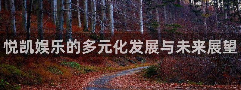 极悦娱乐网站平台：悦凯娱乐的多元化发展与未来展望