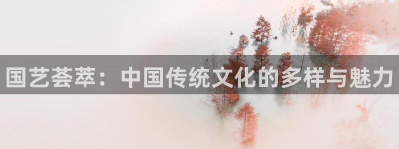 极悦娱乐下载官网入口在哪：国艺荟萃：中国传统文化的多样与魅力