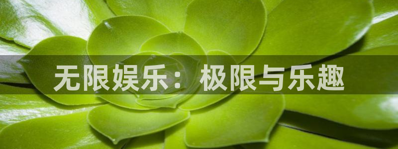 极悦生活：无限娱乐：极限与乐趣