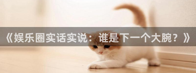 极悦娱乐.ccm：《娱乐圈实话实说：谁是下一个大腕？》