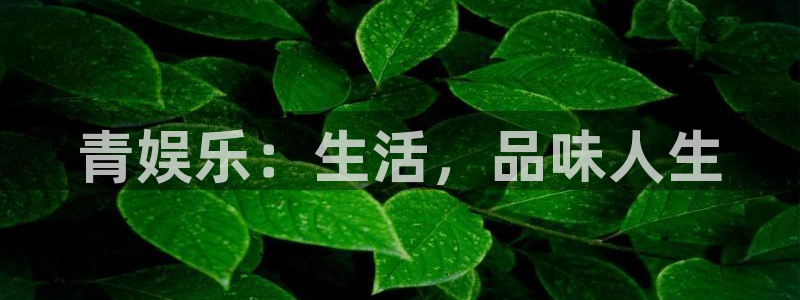 极悦娱乐强制退款流程详解：青娱乐：生活，品味人生