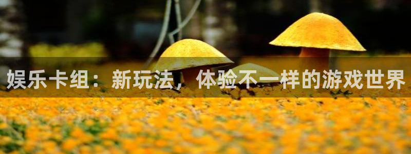 壹号官方app下载安装：娱乐卡组：新玩法，体验不一样的游戏世界