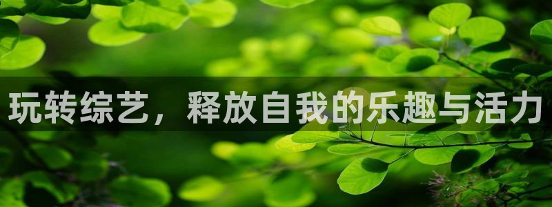 极悦娱乐网址：玩转综艺，释放自我的乐趣与活力