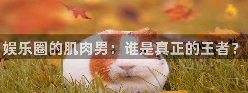极悦娱乐官网：娱乐圈的肌肉男：谁是真正的王者？