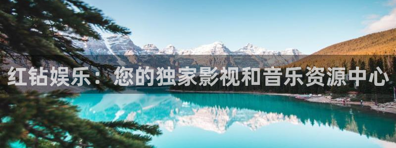 壹号大舞台怎么注册：红钻娱乐：您的独家影视和音乐资源中心
