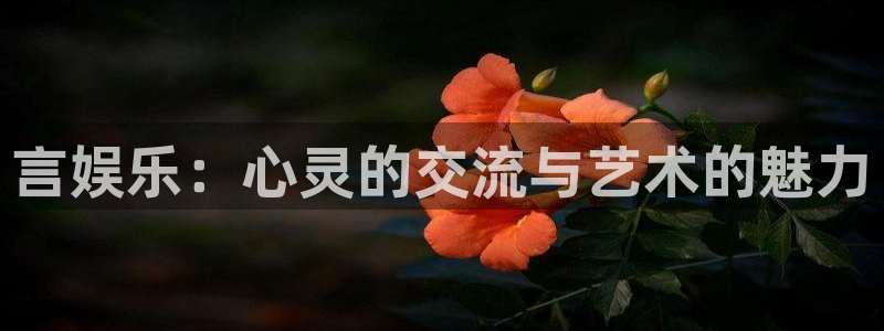 壹号app下载：言娱乐：心灵的交流与艺术的魅力