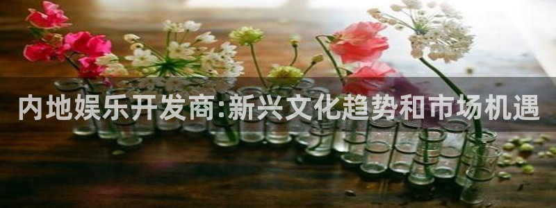 极悦娱乐.ccm：内地娱乐开发商:新兴文化趋势和市场机遇