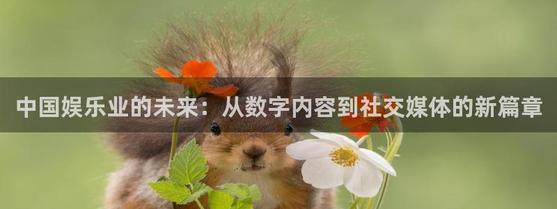 极悦登陆：中国娱乐业的未来：从数字内容到社交媒体的新篇章