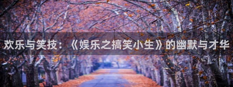 极悦娱乐分红代理计划：欢乐与笑技：《娱乐之搞笑小生》的幽默与才华
