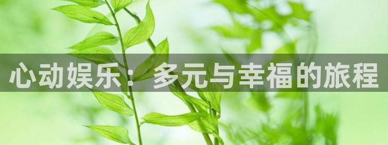 极悦娱乐科技赋能,让平台更有趣：心动娱乐：多元与幸福的旅程
