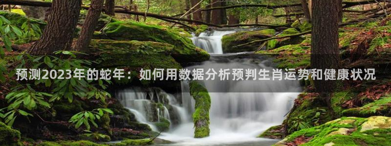 壹号平台娱乐：预测2023年的蛇年：如何用数据分析预判生肖运势和健康状况