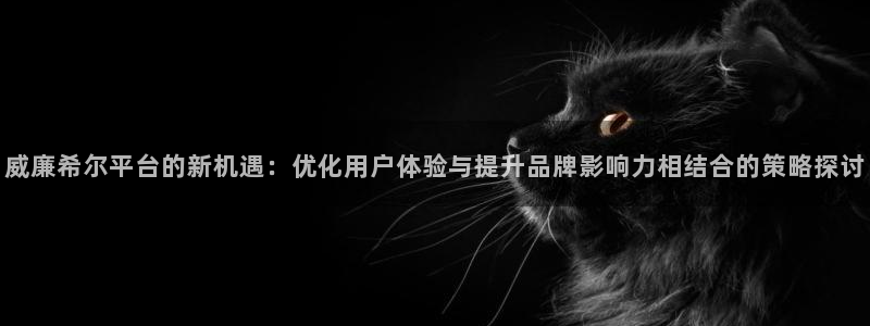 极悦app官网下载：威廉希尔平台的新机遇：优化用户体验与提升品牌影响力相结合的策略探讨