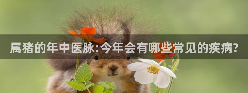 极悦娱乐官网入口：属猪的年中医脉:今年会有哪些常见的疾病?