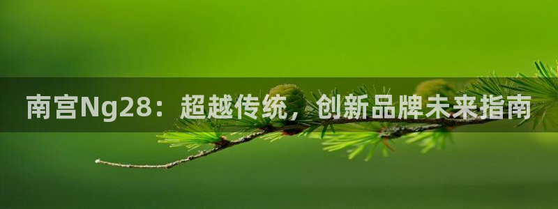 极悦娱乐app下载：南宫Ng28：超越传统，创新品牌未来指南