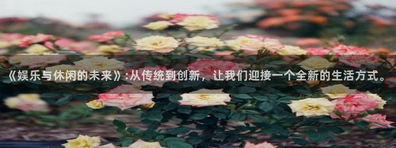 壹号大舞台28国际大舞台：《娱乐与休闲的未来》:从传统到创新，让我们迎接一个全新的生活方式。