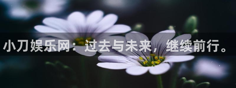 极悦娱乐注册链接：小刀娱乐网：过去与未来，继续前行。