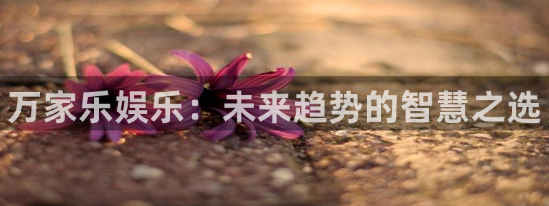极悦娱乐游戏官网平台入口：万家乐娱乐：未来趋势的智慧之选