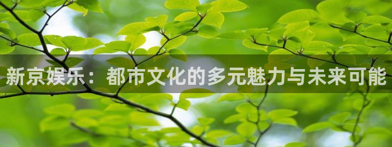 极悦娱乐电子游戏网页版：新京娱乐：都市文化的多元魅力与未来可能