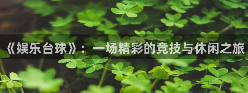 极悦娱乐：《娱乐台球》：一场精彩的竞技与休闲之旅