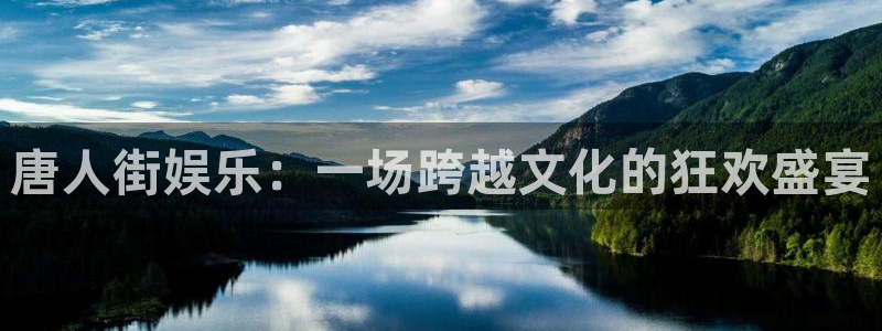 壹号电子娱乐app下载安装最新版本：唐人街娱乐：一场跨越文化的狂欢盛宴