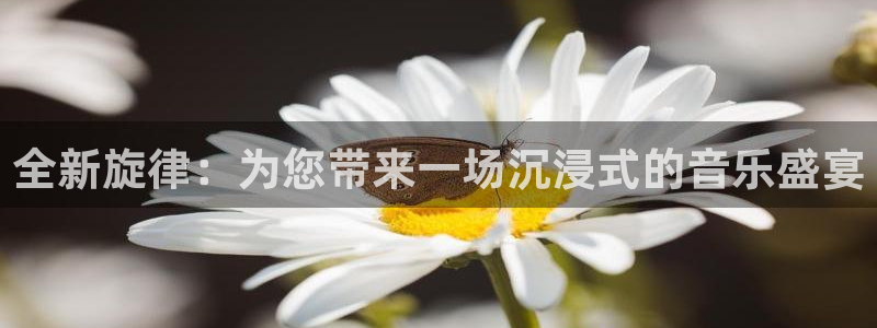 极悦娱乐注册网页版：全新旋律：为您带来一场沉浸式的音乐盛宴